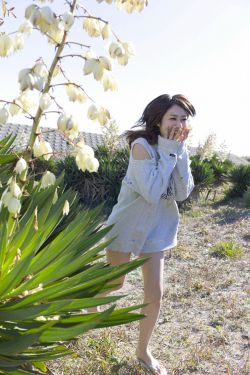 在线快速播放网址大全